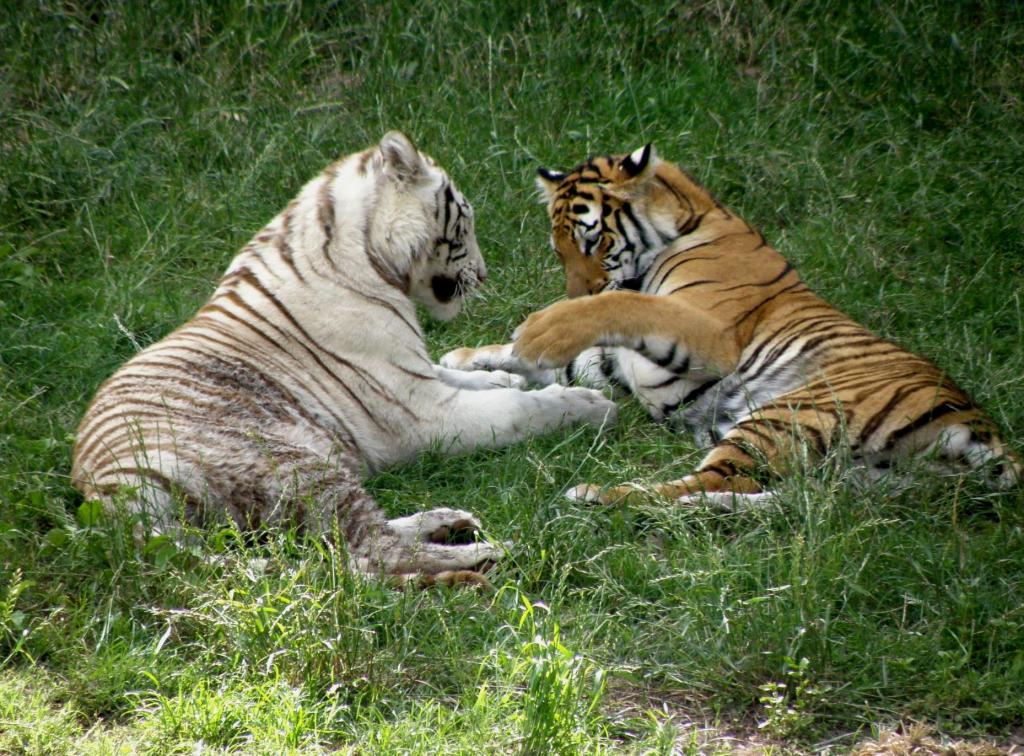 Foto de Belén de Escobar (Buenos Aires), Argentina