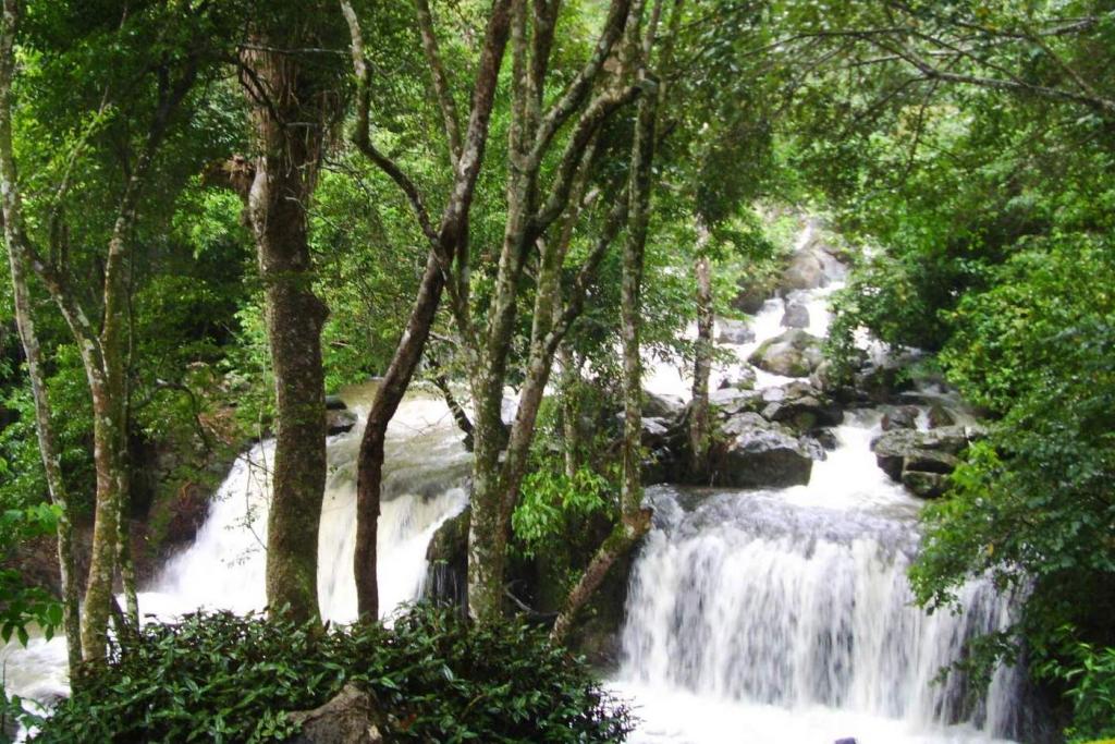 Foto de Hueque, Venezuela