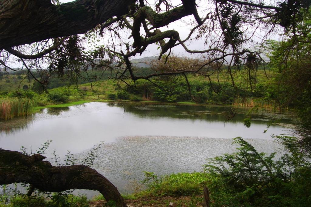 Foto de Cabure, Venezuela
