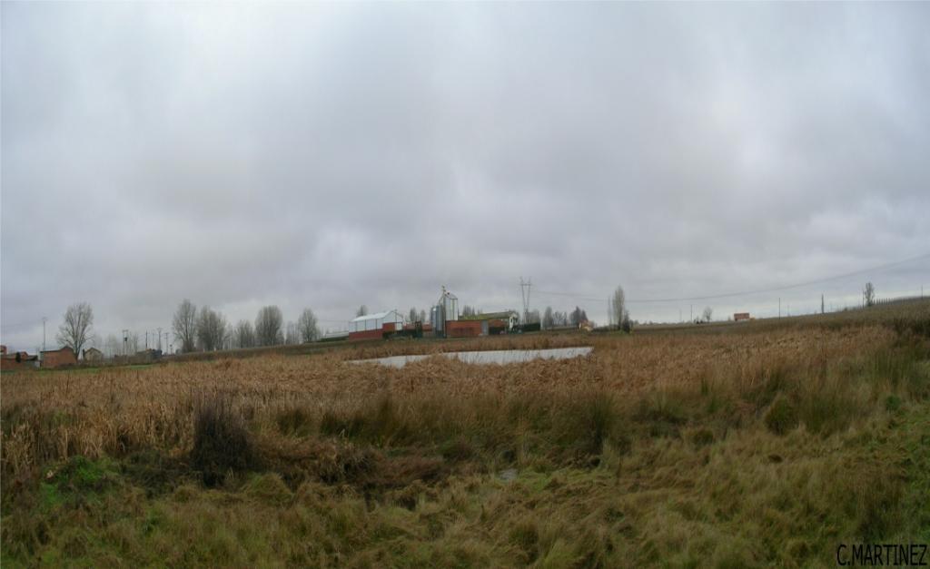 Foto de Zuares del Paramo (León), España