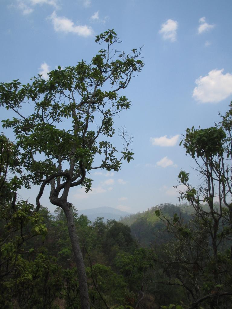 Foto de Chiang Mai, Tailandia