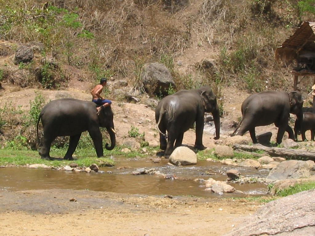 Foto de Chiang Mai, Tailandia