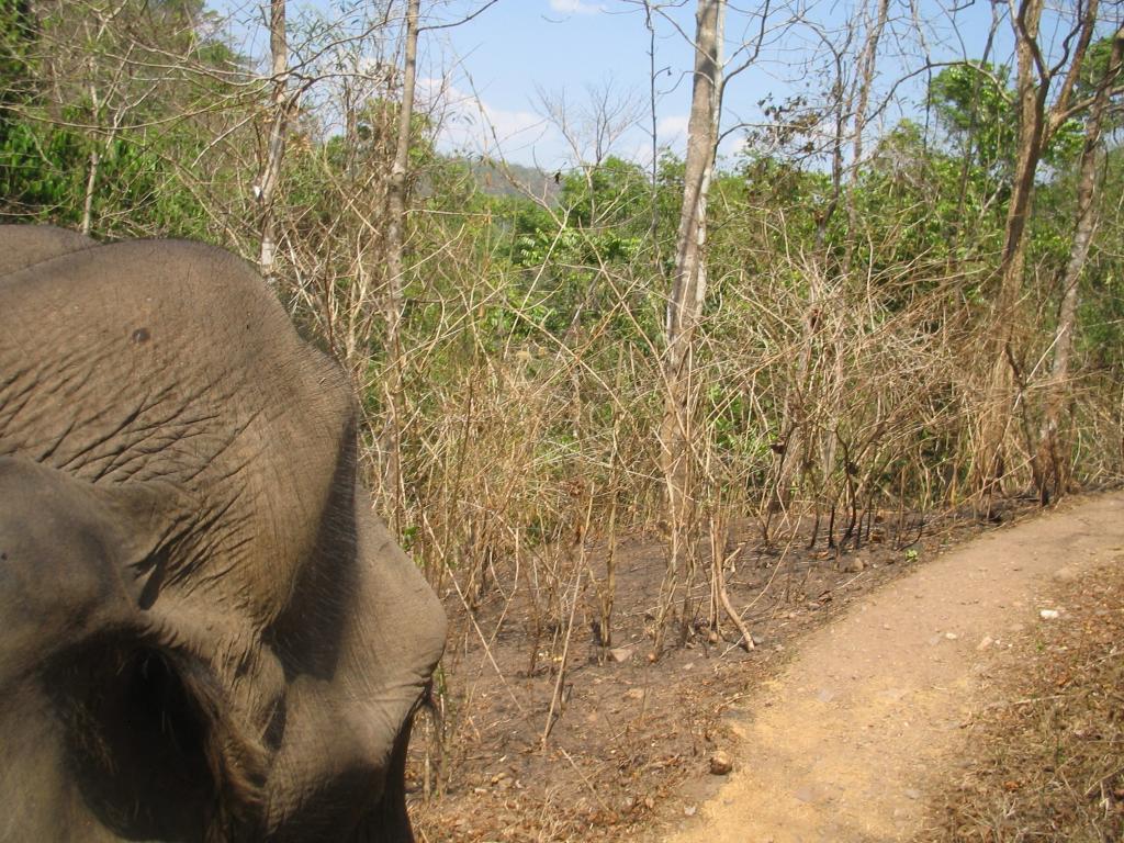 Foto de Chiang Mai, Tailandia