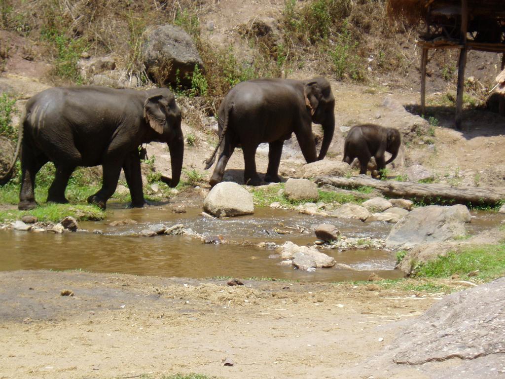 Foto de Chiang Mai, Tailandia