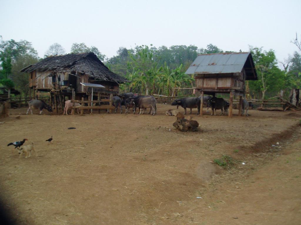 Foto de Chiang Mai, Tailandia