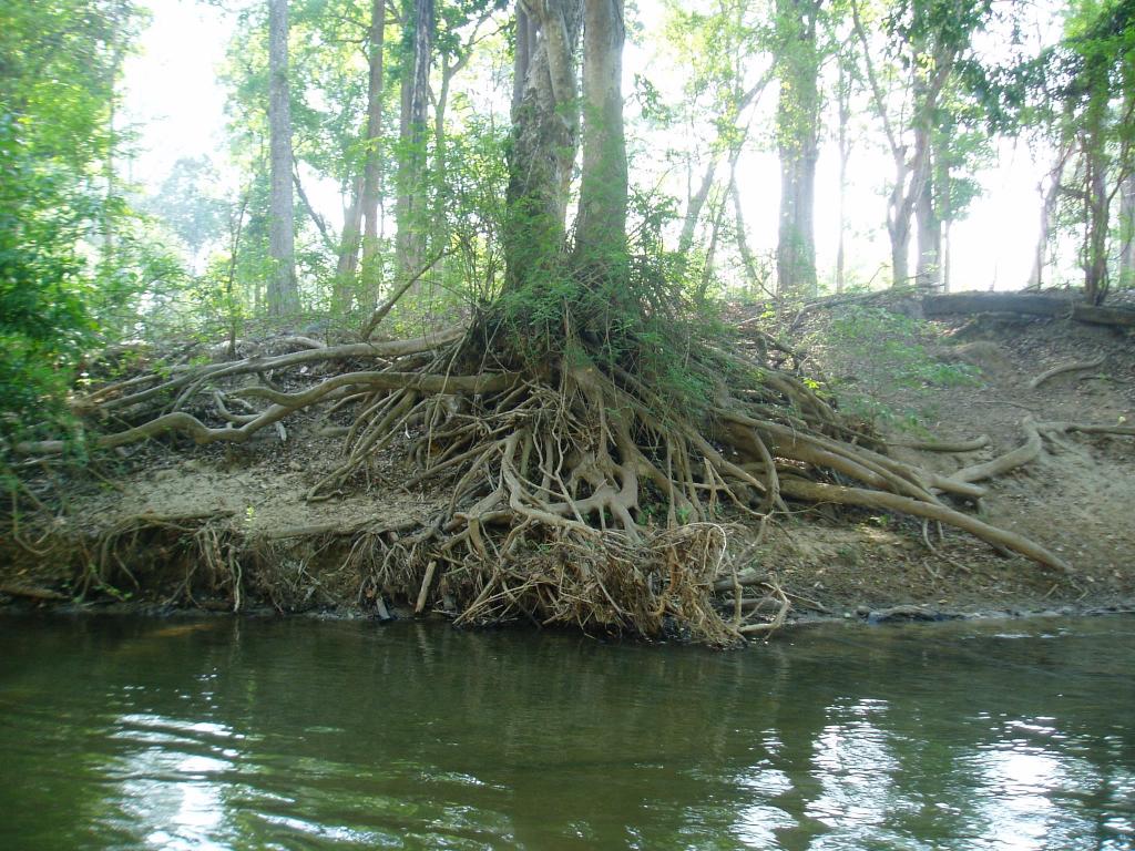 Foto de Chiang Mai, Tailandia