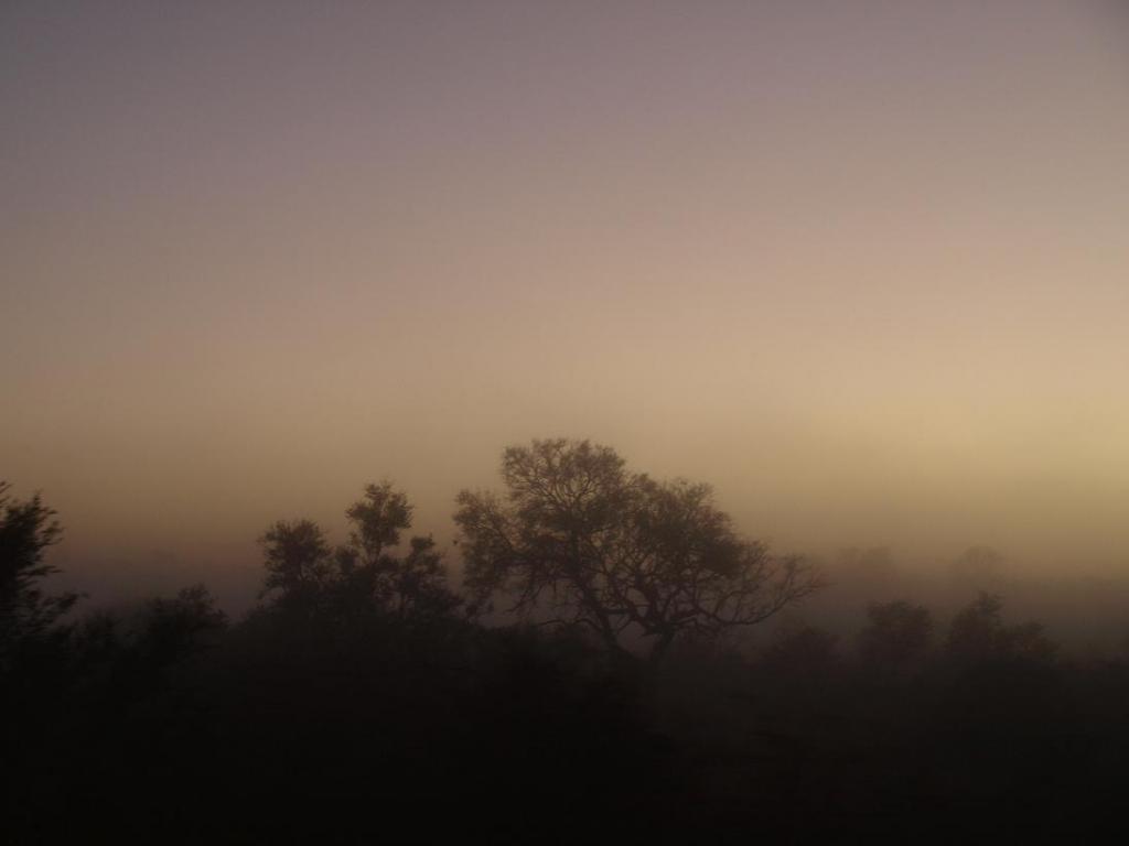 Foto de Limpopo, Sudáfrica