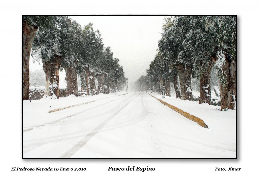 Foto de El Pedroso (Sevilla), España