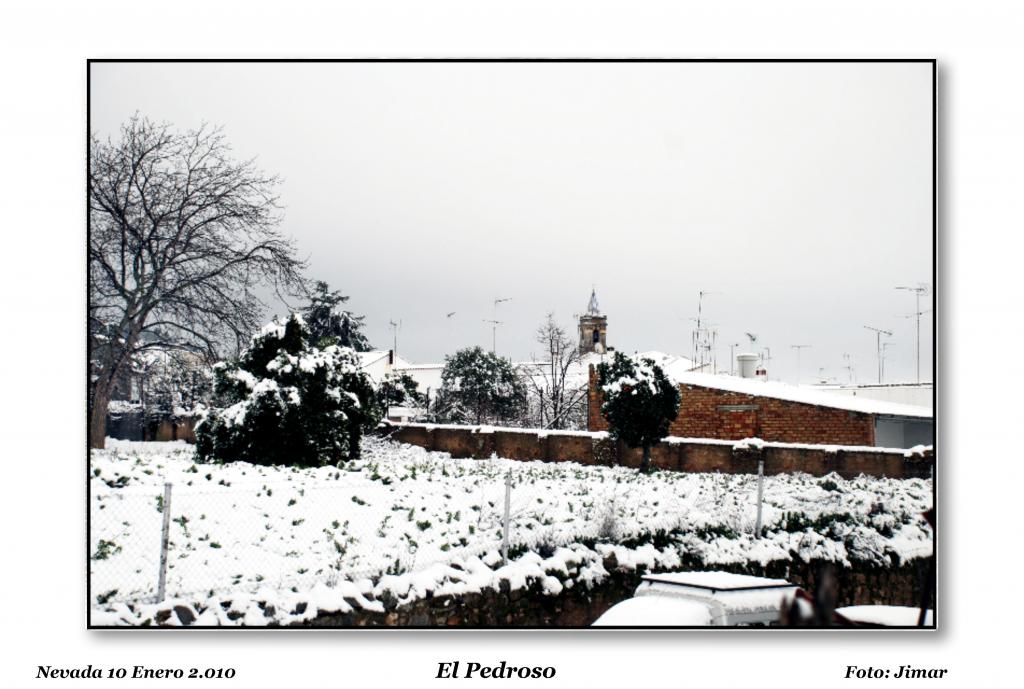 Foto de El Pedroso (Sevilla), España