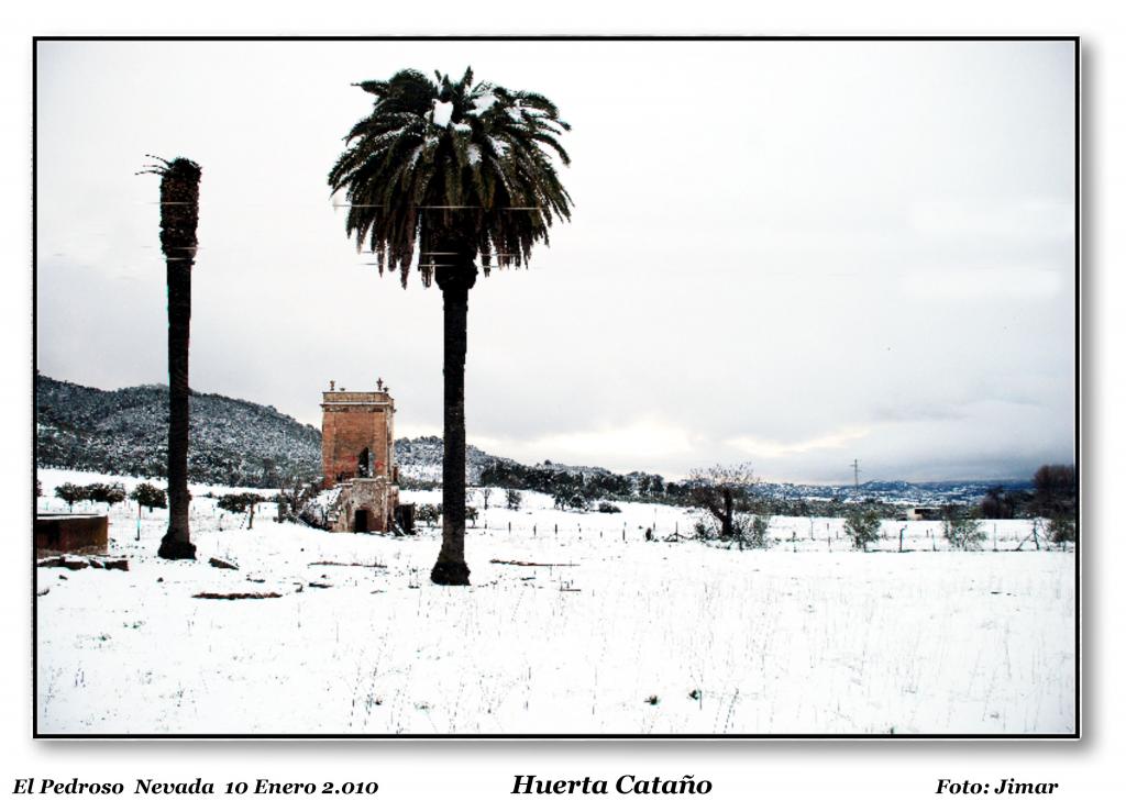 Foto de El Pedroso (Sevilla), España