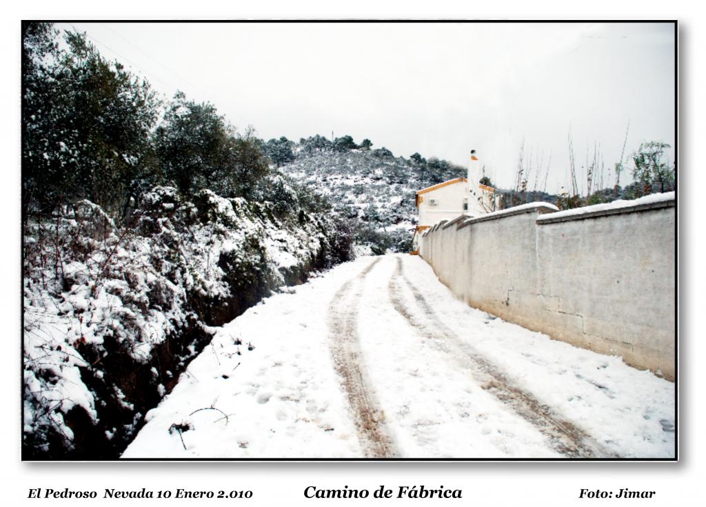 Foto de El Pedroso (Sevilla), España
