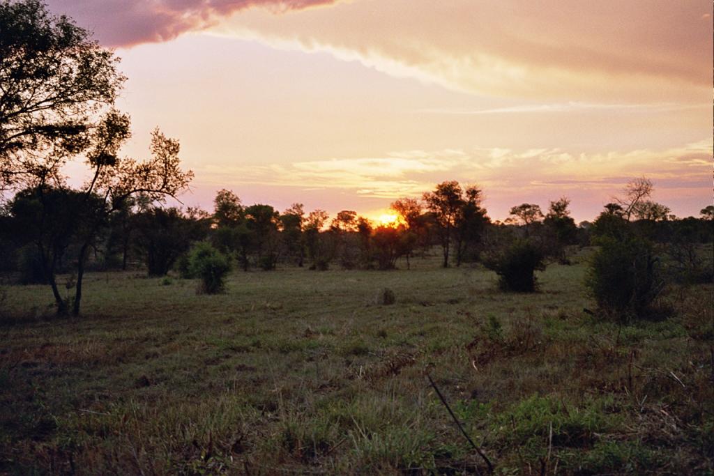 Foto de Kruger National Park, Sudáfrica