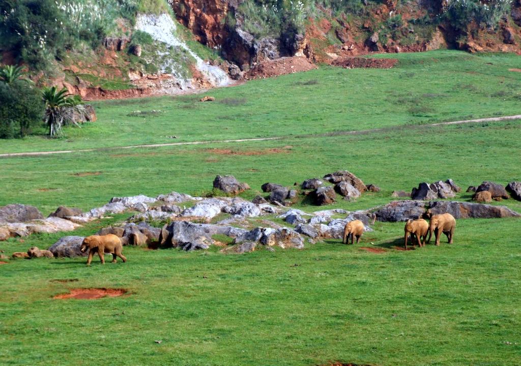 Foto de Cabarceno (Cantabria), España