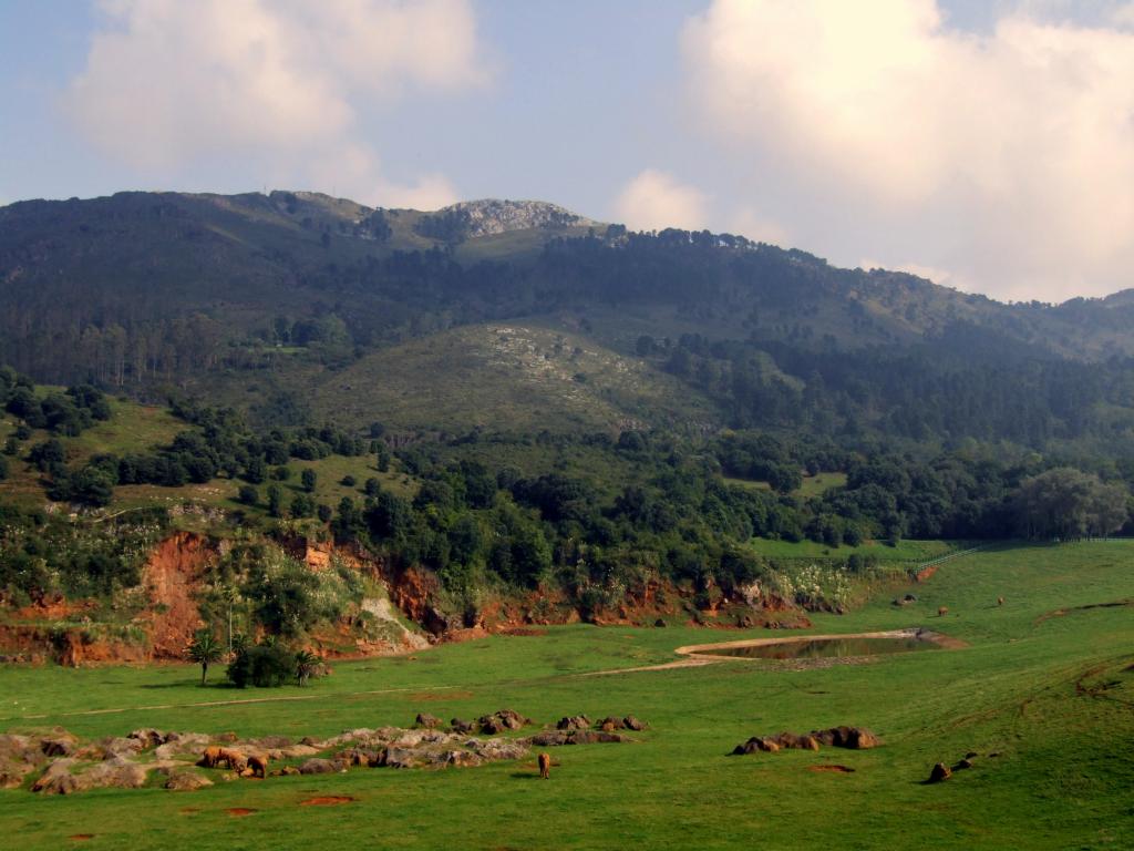 Foto de Cabarceno (Cantabria), España