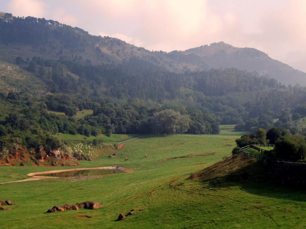 Foto de Cabarceno (Cantabria), España