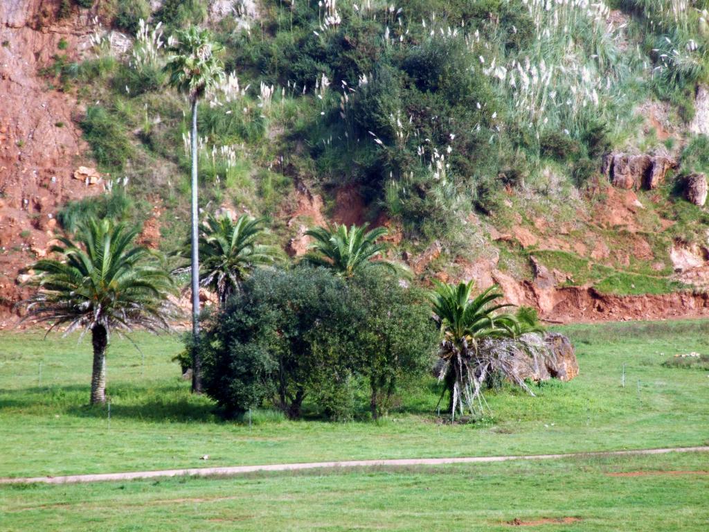 Foto de Cabarceno (Cantabria), España