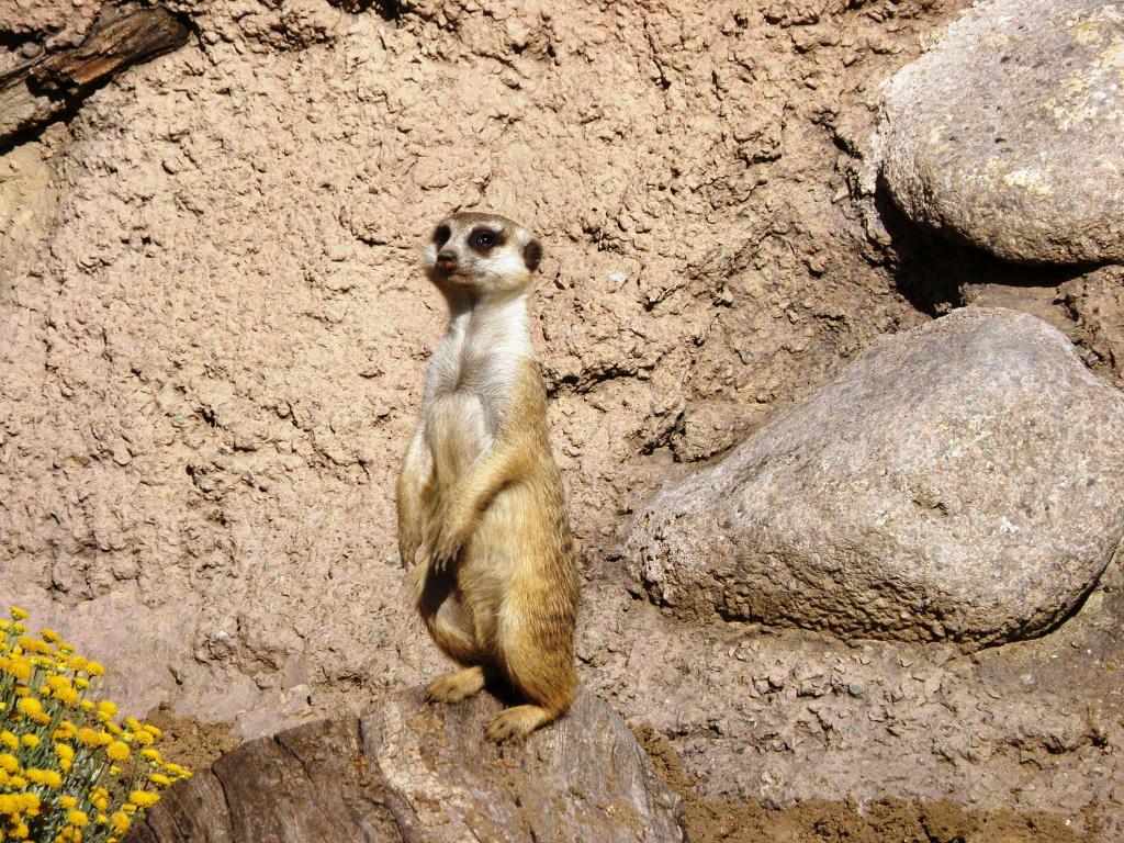 Foto de Belén de Escobar (Buenos Aires), Argentina