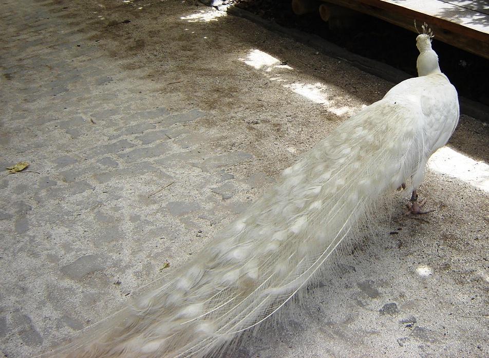 Foto de Belén de Escobar (Buenos Aires), Argentina