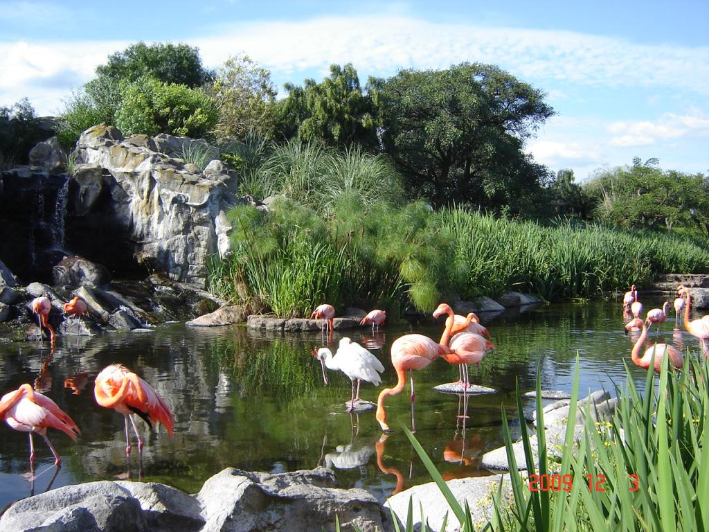Foto de Belén de Escobar (Buenos Aires), Argentina