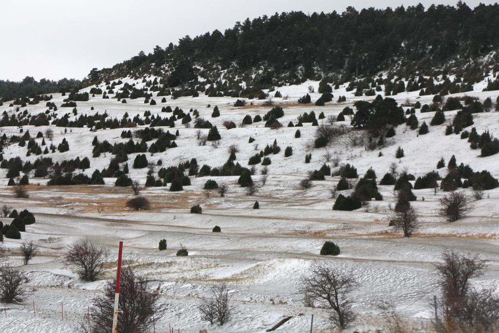 Foto de Villarroya de los Pinares (Teruel), España