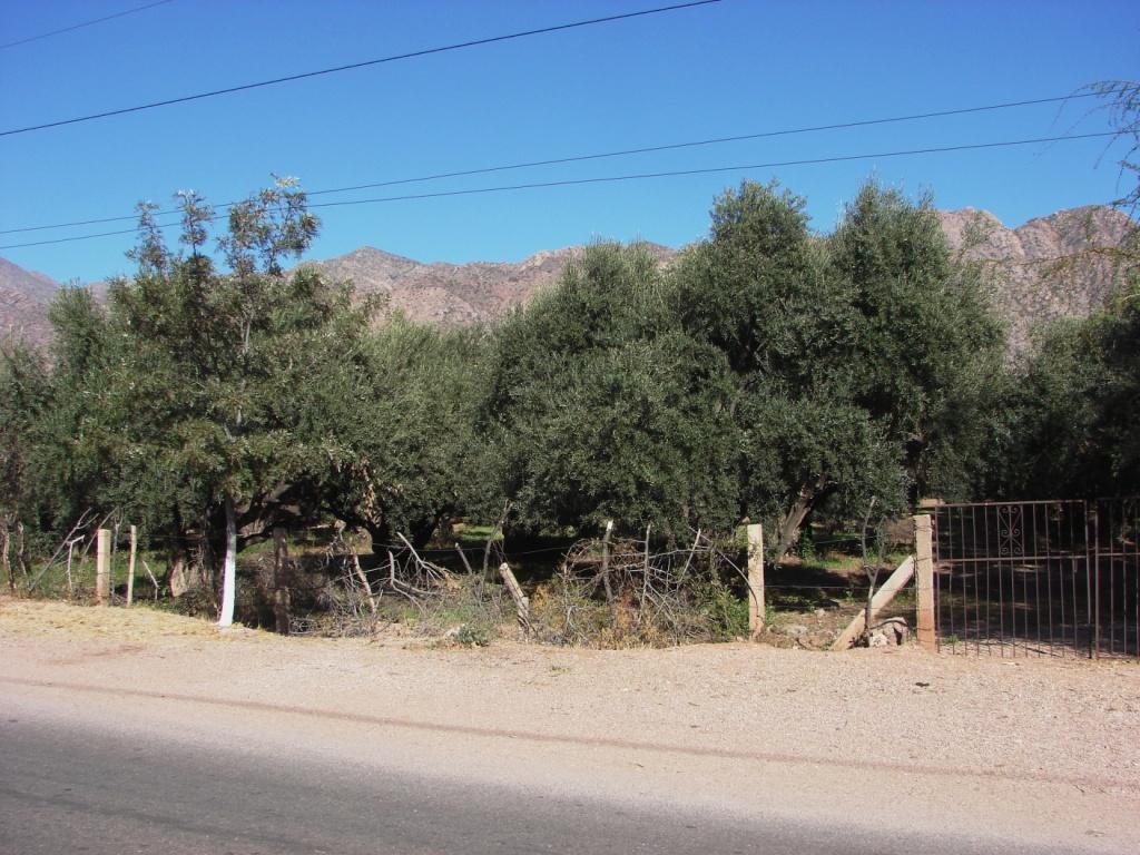 Foto de Sanagasta (La Rioja), Argentina