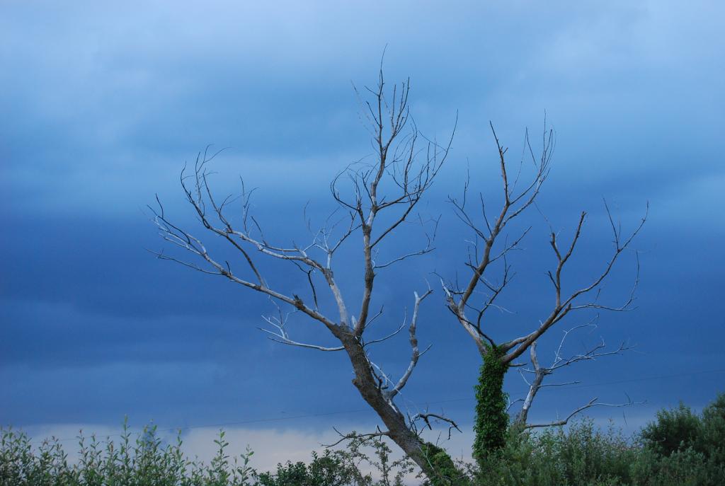 Foto de Trapagaran (Vizcaya), España