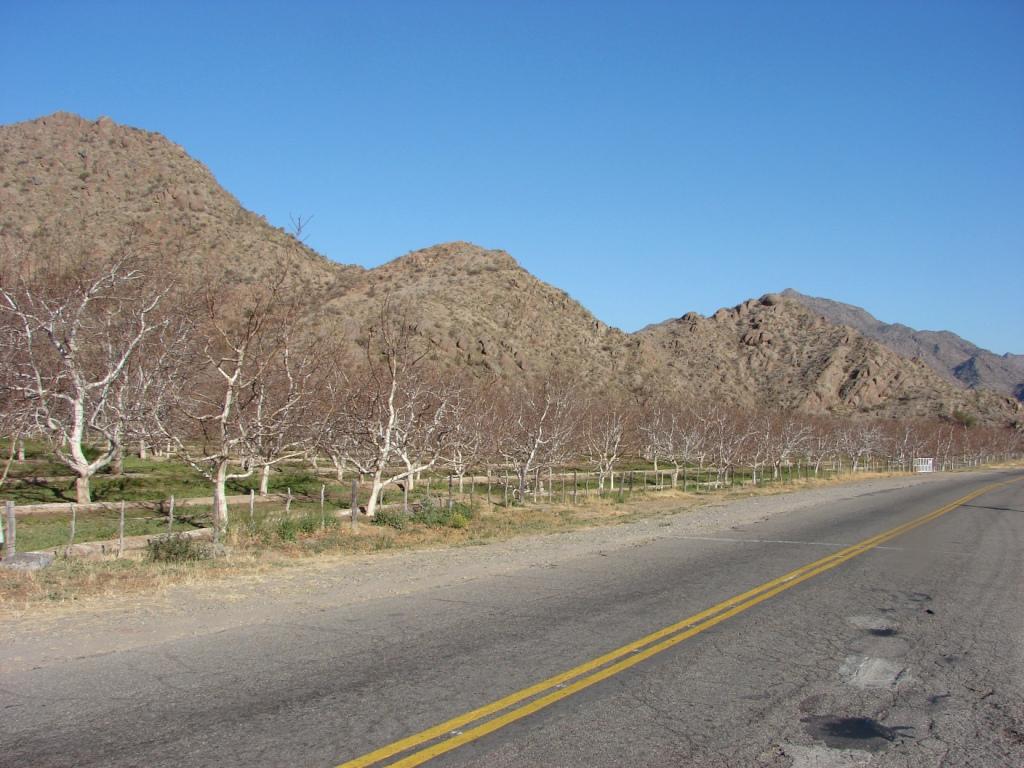 Foto de Famatina (La Rioja), Argentina