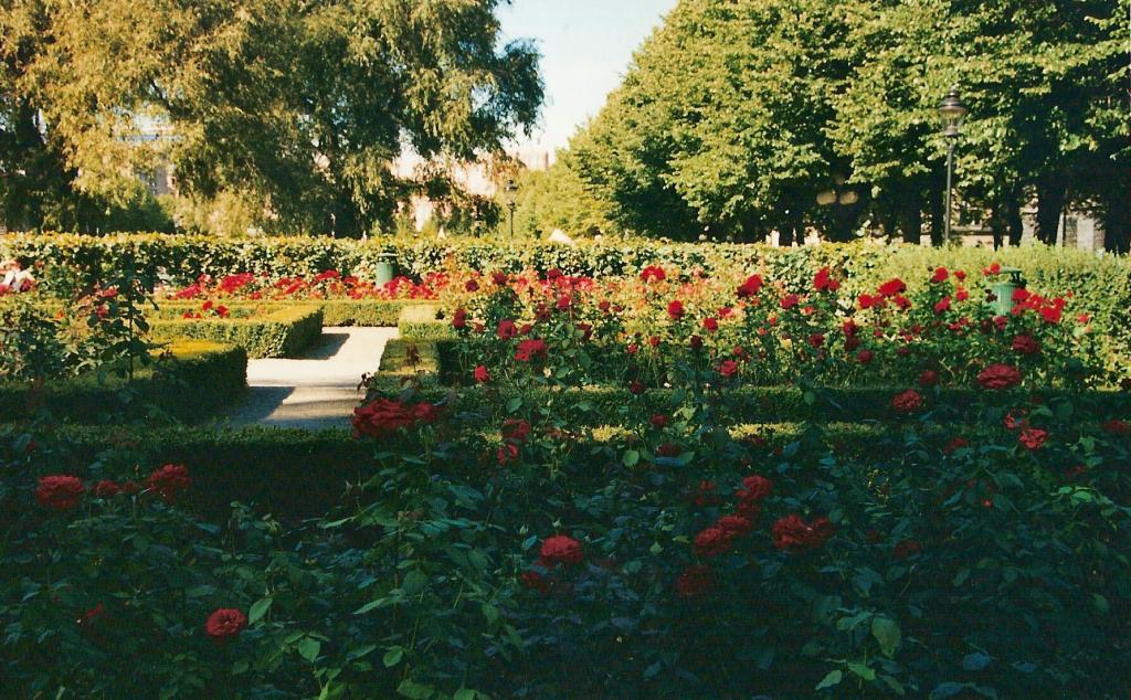 Foto de Estocolmo (Stockholm), Suecia