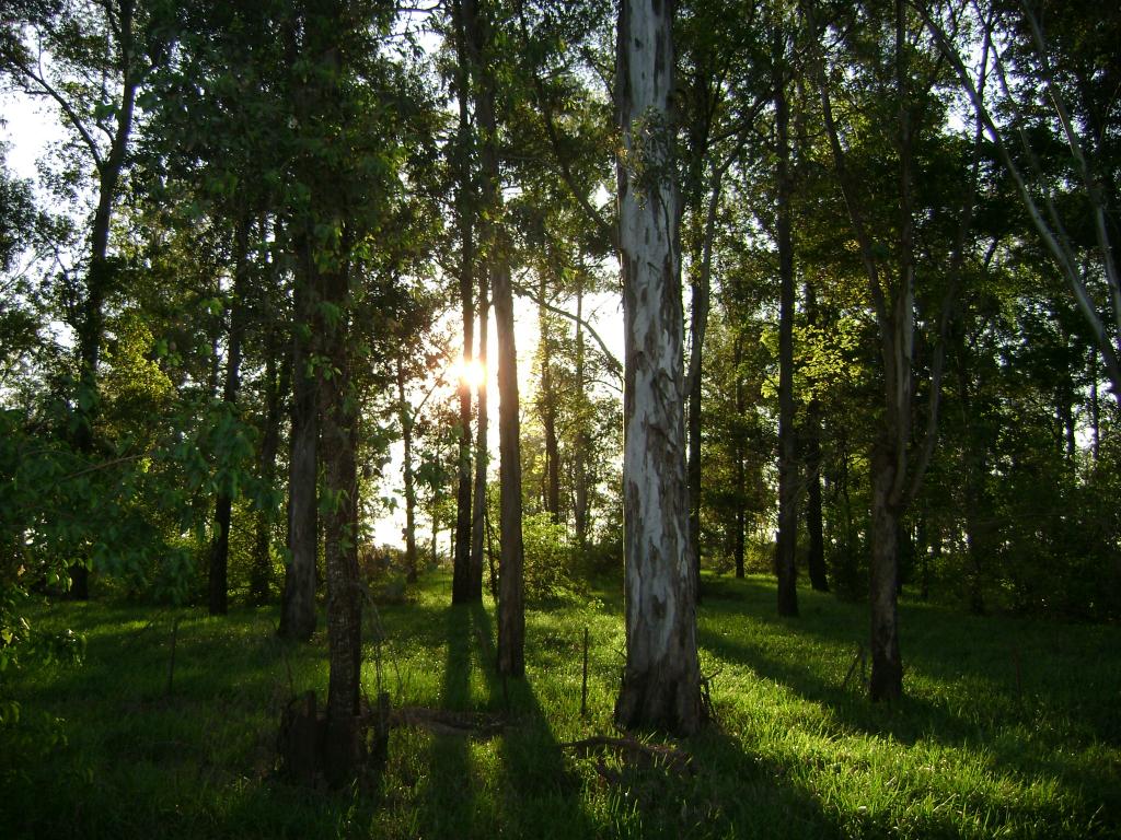 Foto de Tebicuary (Guairá), Paraguay