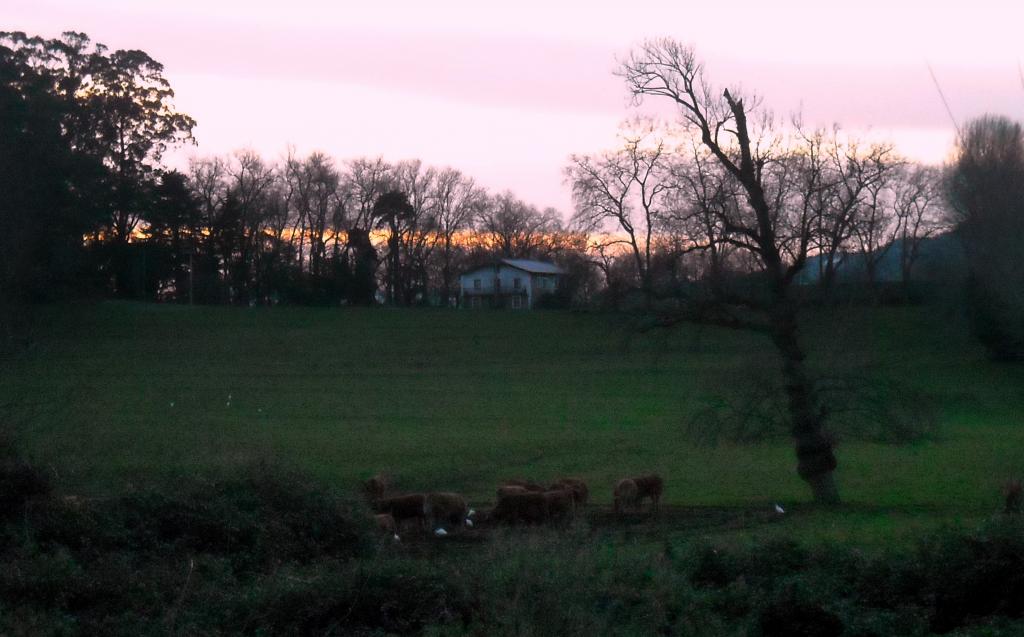 Foto de Guarnizo (Cantabria), España