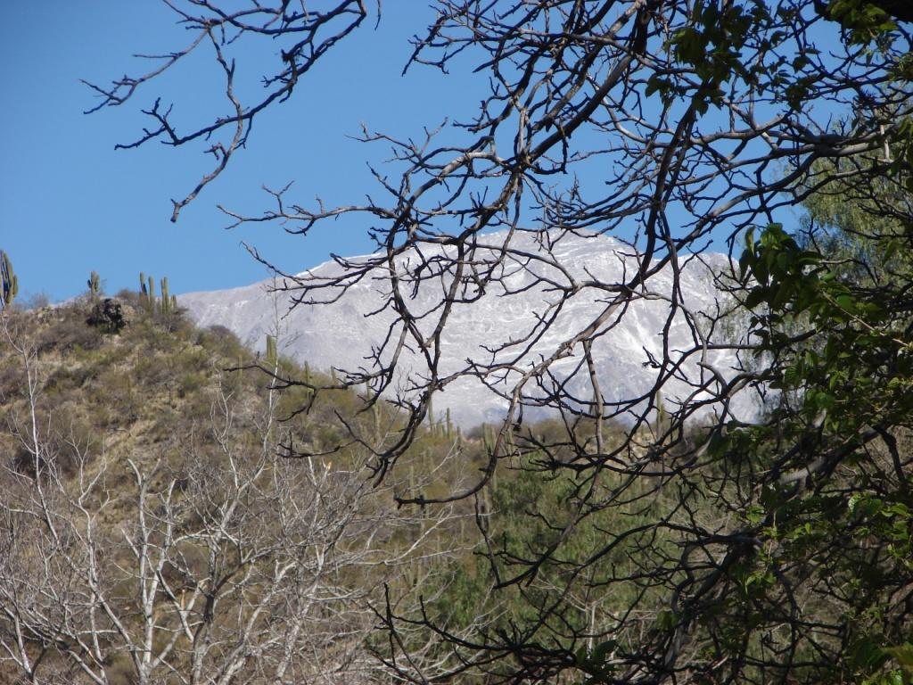Foto de Chilecito, Argentina