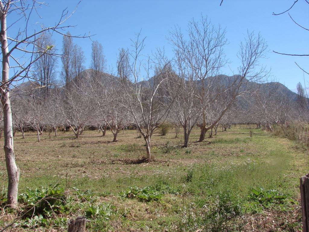 Foto de Sañogasta, Argentina