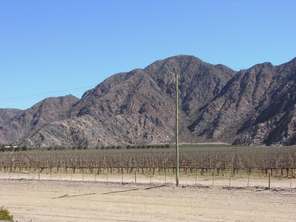 Foto de Chilecito, Argentina