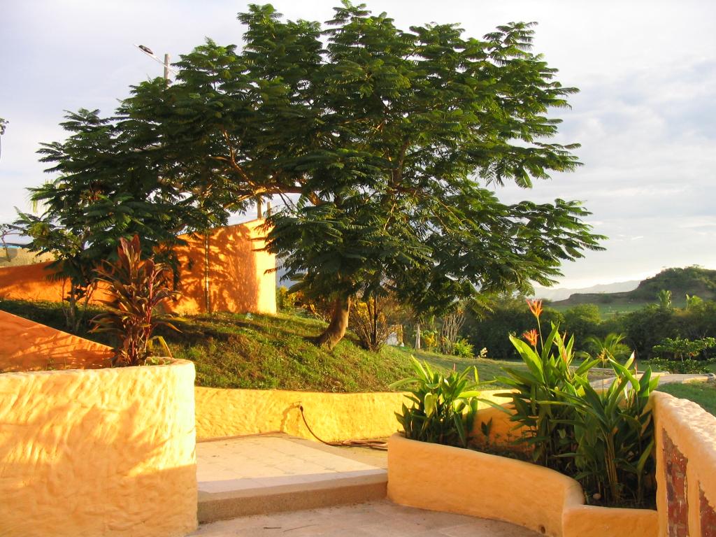 Foto de Carmen de Apicala, Colombia