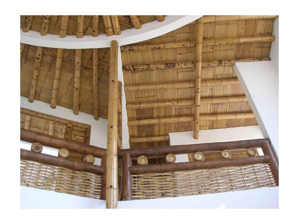 Foto de Carmen de Apicala, Colombia