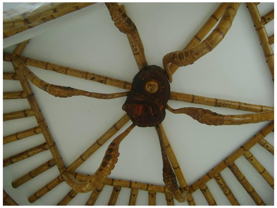 Foto de Silvania, Colombia