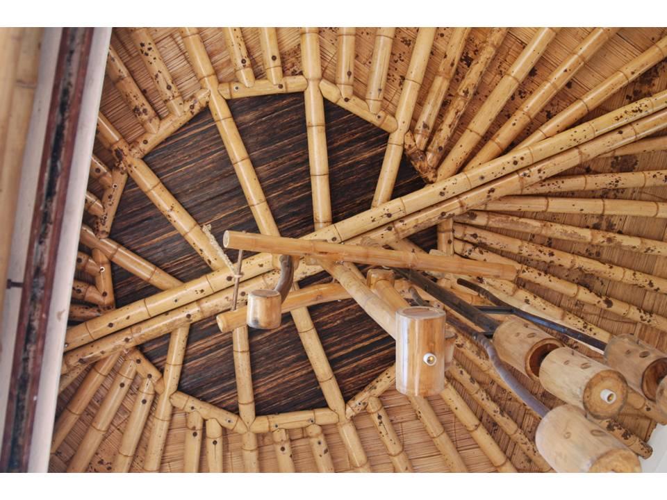 Foto de Carmen de Apicala, Colombia