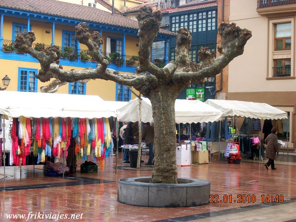 Foto de Oviedo (Asturias), España