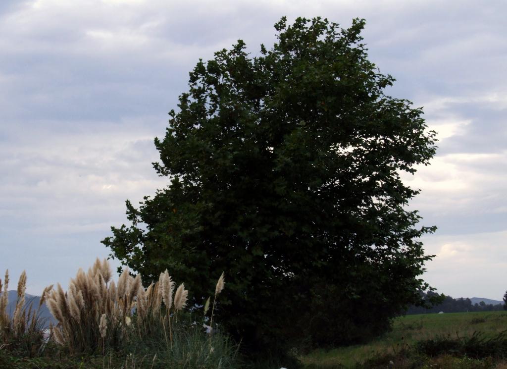 Foto de Igollo (Cantabria), España