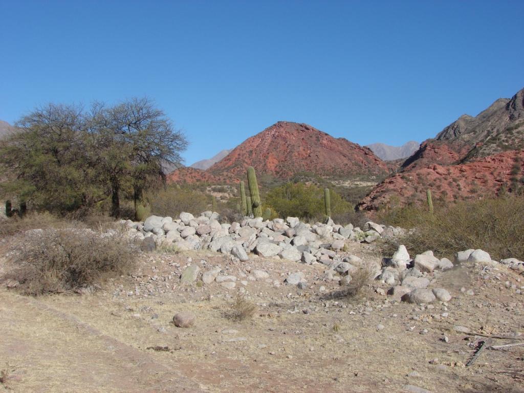 Foto de Sañogasta, Argentina