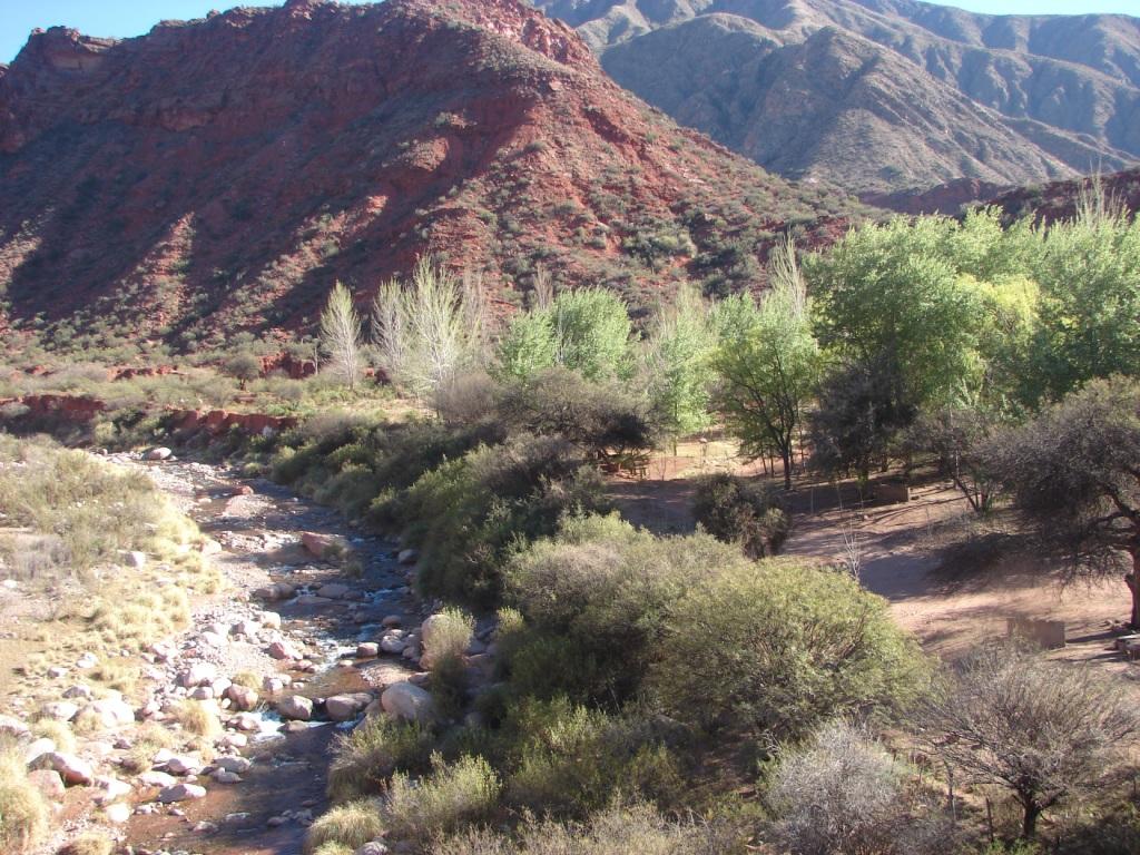 Foto de Sañogasta, Argentina