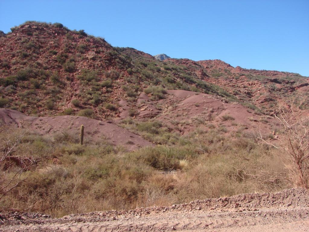 Foto de Miranda, Argentina