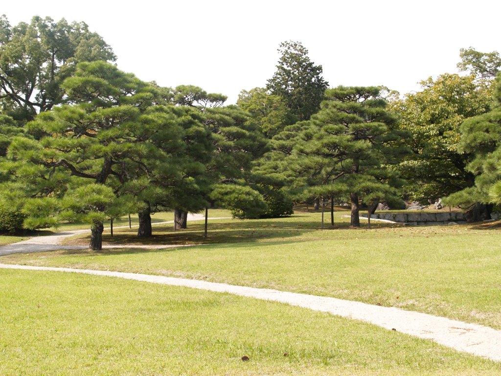 Foto de Kyoto, Japón
