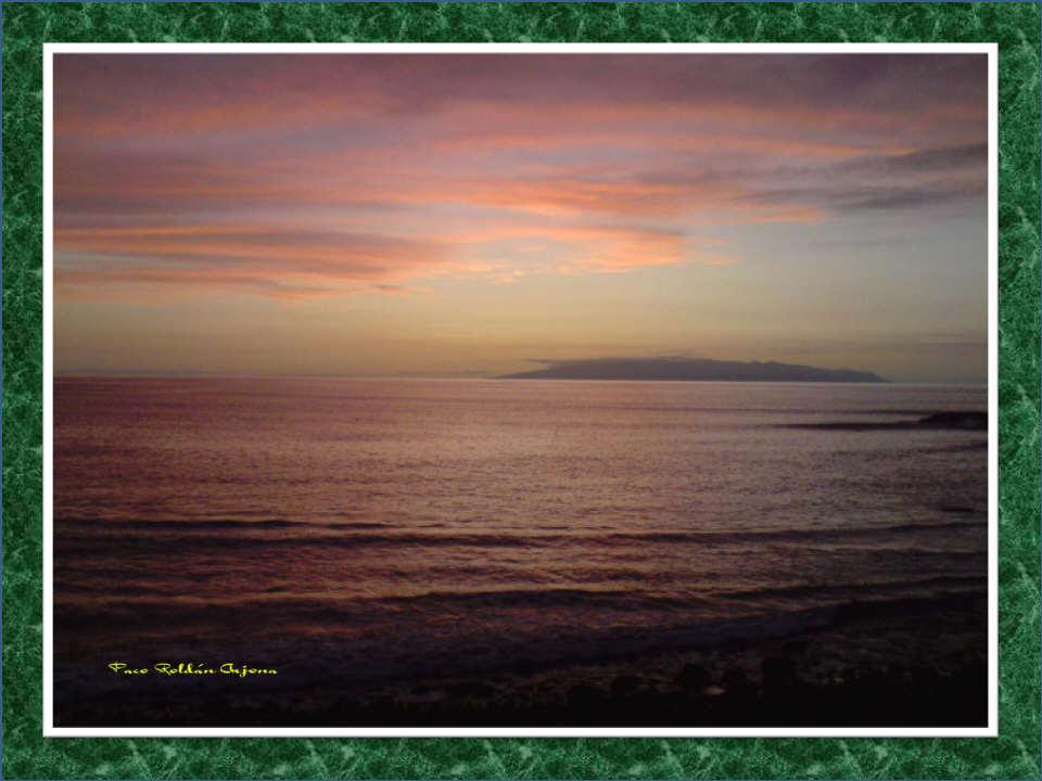 Foto de Los Cristianos (Santa Cruz de Tenerife), España