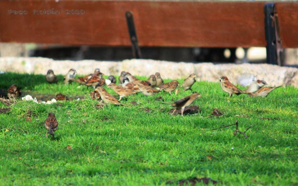Foto de A Coruña (Galicia), España