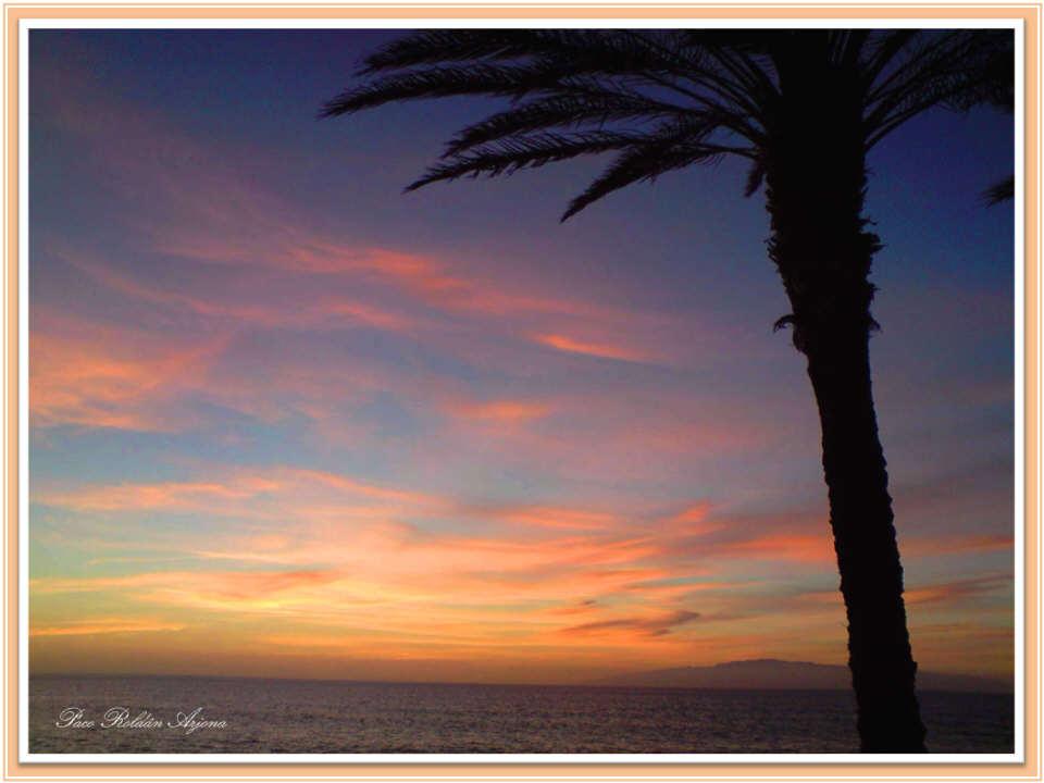 Foto de Los Cristianos (Santa Cruz de Tenerife), España