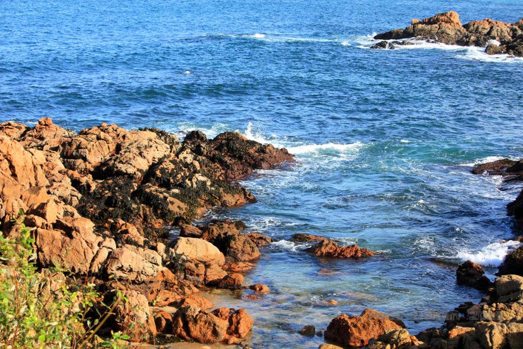 Foto de A Coruña (Galicia), España