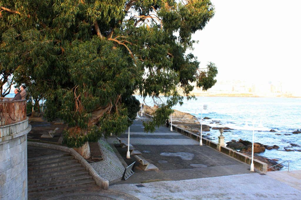 Foto de A Coruña (Galicia), España