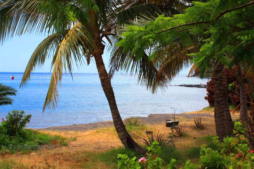 Foto de La Gomera (Santa Cruz de Tenerife), España