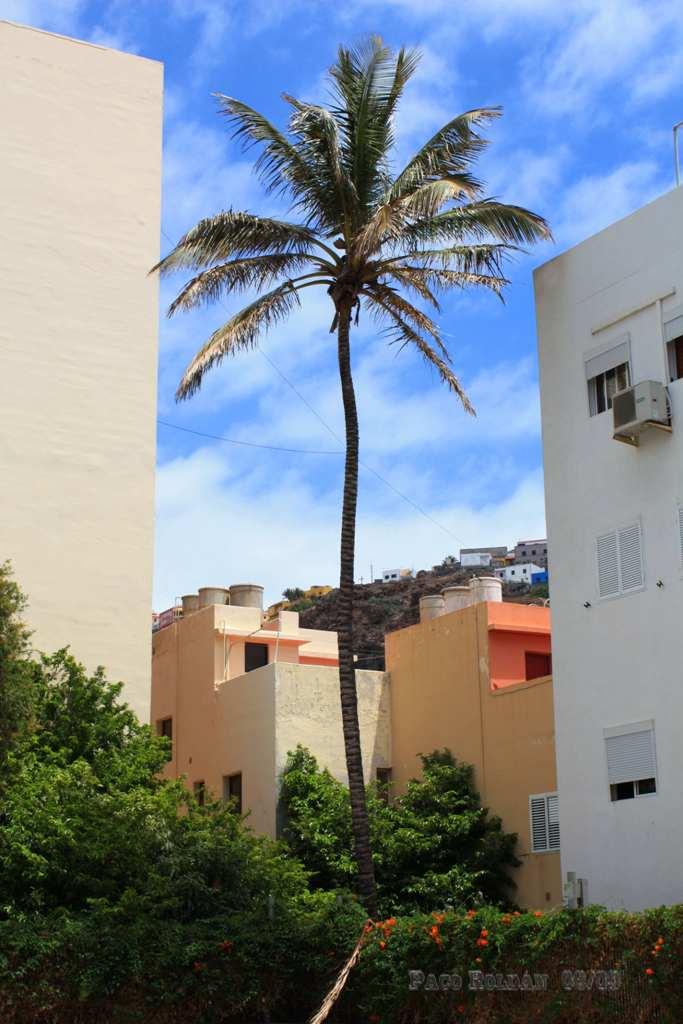 Foto de La Gomera (Santa Cruz de Tenerife), España